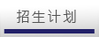 招生计划